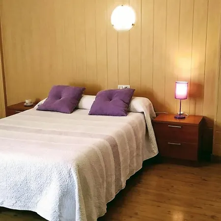 阿纳斯旅馆 *