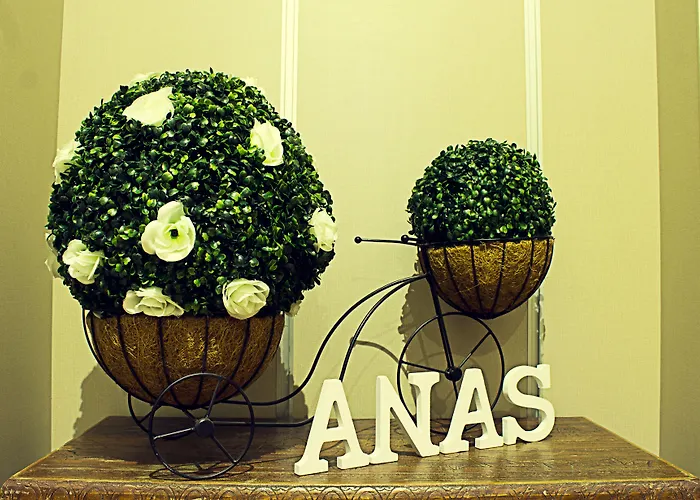 Anas Auberge de jeunesse Mérida